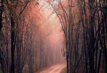 PG:西哈姆开除主帅洛佩特吉 切尔西前教头波特接任.