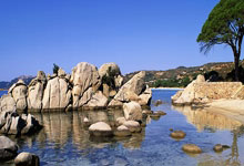 最新金球奖概率排行：拉菲尼亚升至第一，拜仁球员不被看好.